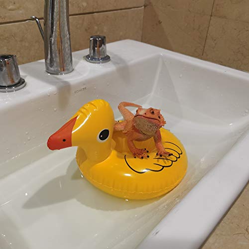 Bearded Dragon Bath Time Float Toy Set