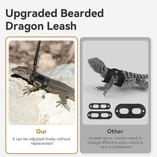 Adjustable Bearded Dragon Harness and Leash Set