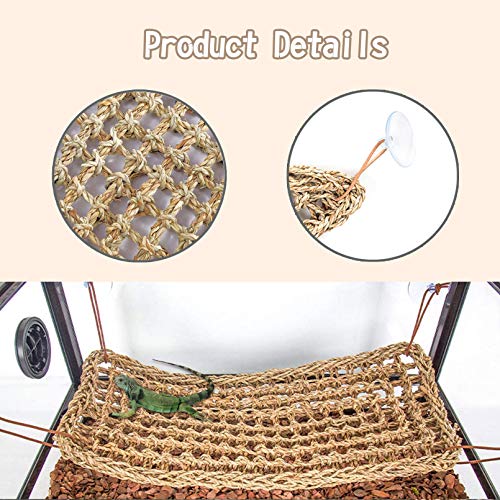 Bearded Dragon Seagrass Hammock and Climbing Decor