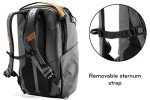 Charcoal Peak Design Everyday Backpack V2 30L