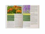 Herbal Remedies Guide: Wearable Tech Edition