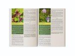 Herbal Remedies Guide: Wearable Tech Edition