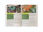 Herbal Remedies Guide: Wearable Tech Edition