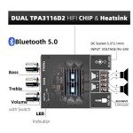 Dual 100W Amplifier Board with Bass & Treble Control