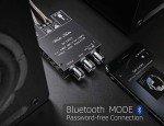 Dual 100W Amplifier Board with Bass & Treble Control