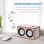 DIY Bluetooth Speaker Kit for All Ages