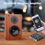 Bluetooth 5.0 2.1 Channel HiFi Amplifier Board