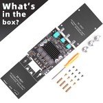 Dual 100W Amplifier Board with Bass & Treble Control