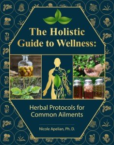 Herbal Wellness Guide for Everyday Ailments