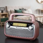 Studebaker SB2006 Portable Bluetooth Speaker and Radio