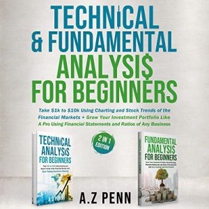 Beginner's Guide to Technical and Fundamental Analysis