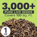 Calendula ‘Pacific Beauty Mix’ Wildflower Seeds Packet