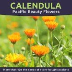 Calendula ‘Pacific Beauty Mix’ Wildflower Seeds Packet