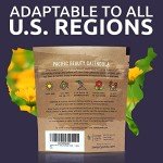 Calendula ‘Pacific Beauty Mix’ Wildflower Seeds Packet