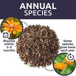 Calendula ‘Pacific Beauty Mix’ Wildflower Seeds Packet