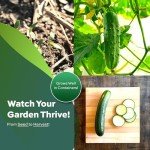 Spacemaster Cucumber Seeds - Perfect for Small Gardens