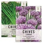 Chives Seed Collection: Garlic & Common Varieties