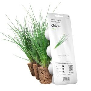 Chives Plant Pods for Click and Grow Garden