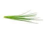 Chives Plant Pods for Click and Grow Garden