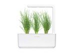 Chives Plant Pods for Click and Grow Garden