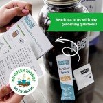 Organic Cherry Tomato Windowsill Planter Kit