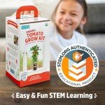 Organic Cherry Tomato Windowsill Planter Kit