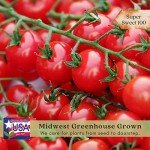 Sweet 100 Tomato Plants – 2 Live Non-GMO Plants