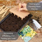 Muldale Multi-Seed Dibber Tool for Gardening