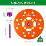 Color-Coded Seed Planting Template and Tool Kit