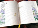 Mary Engelbreit Vintage Gardener's Journal with Illustrations