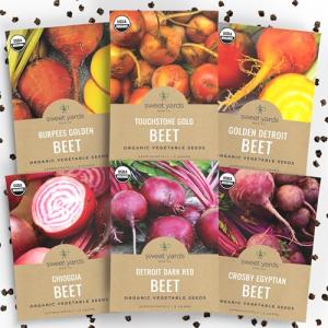 Organic Beet Seeds Variety Pack - 6 Types