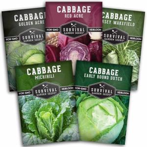 Cabbage Collection Seed Vault - 5 Non-GMO Varieties