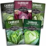 Cabbage Collection Seed Vault - 5 Non-GMO Varieties