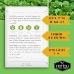 Cabbage Collection Seed Vault - 5 Non-GMO Varieties