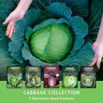 Cabbage Collection Seed Vault - 5 Non-GMO Varieties