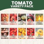 Diverse Tomato Seeds Pack for Indoor & Outdoor Gardening
