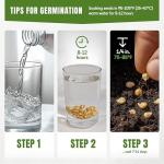 Heirloom Pepper Seeds Variety Pack for Gardening