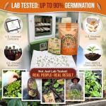 10 Unique Non-GMO Carrot Seed Varieties Pack