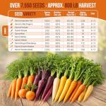 10 Unique Non-GMO Carrot Seed Varieties Pack