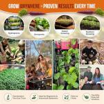 10 Unique Non-GMO Carrot Seed Varieties Pack