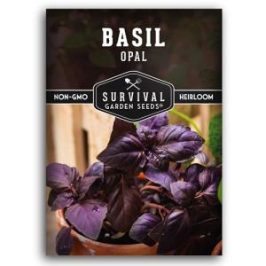 Opal Basil Seeds for Your Home Garden