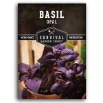 Opal Basil Seeds for Your Home Garden