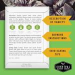 Opal Basil Seeds for Your Home Garden