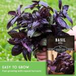 Opal Basil Seeds for Your Home Garden
