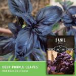 Opal Basil Seeds for Your Home Garden