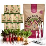10 Rare Heirloom Beet Seed Variety Pack