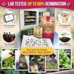 10 Rare Heirloom Beet Seed Variety Pack