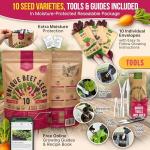10 Rare Heirloom Beet Seed Variety Pack