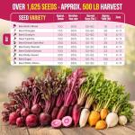 10 Rare Heirloom Beet Seed Variety Pack