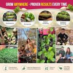 10 Rare Heirloom Beet Seed Variety Pack